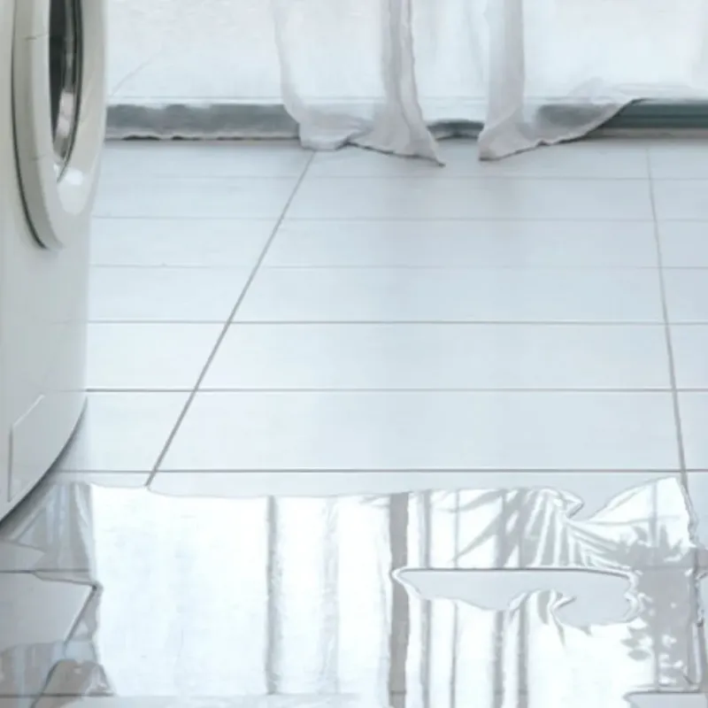 Appliance Leak Cleanup in Needville, TX
