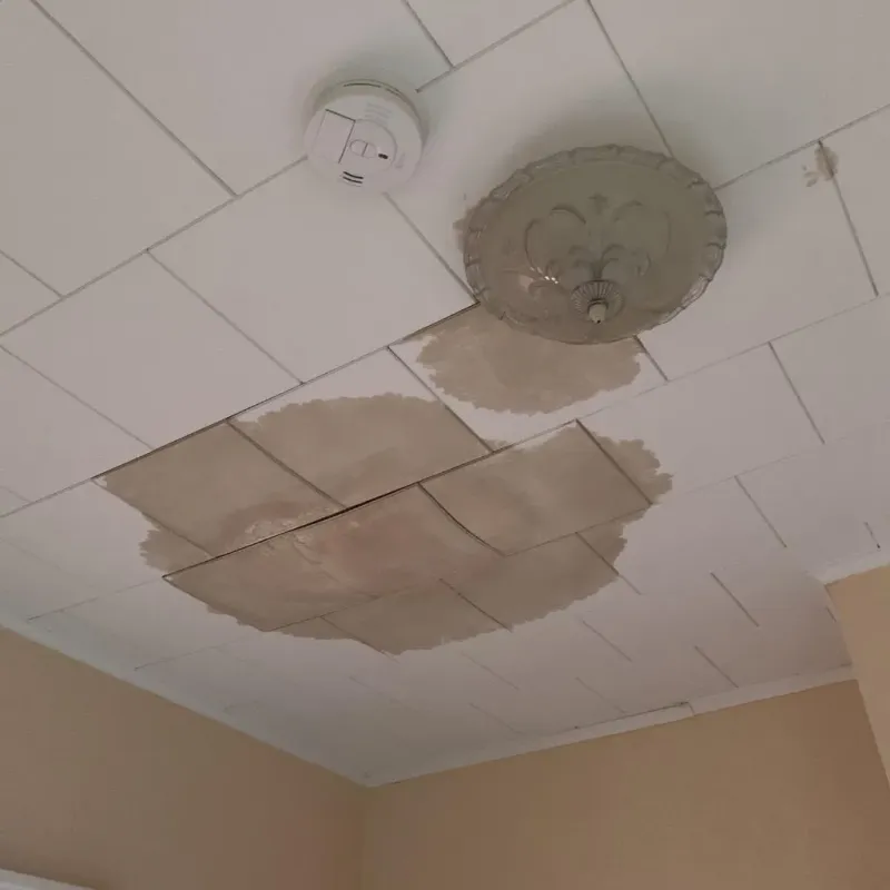 Ceiling Water Damage Repair in Needville, TX